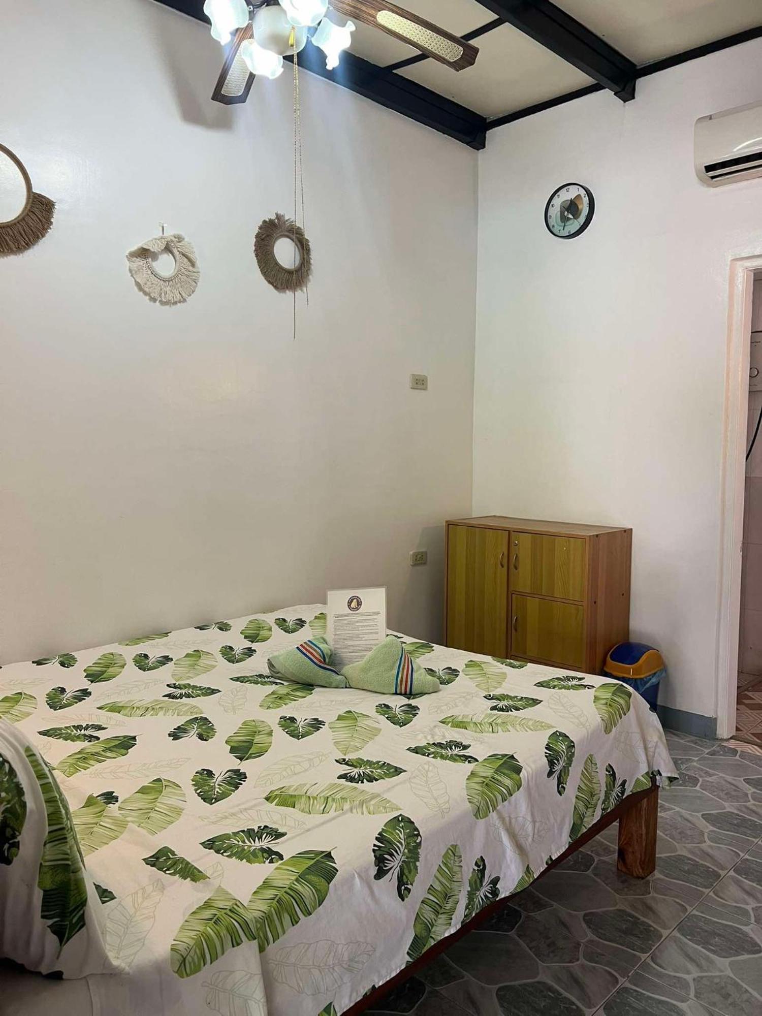 Ice Bear Bar & Tourist Inn Dauis Bilik gambar